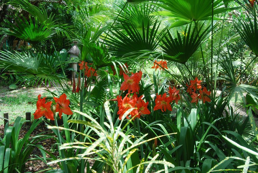 Mata N'Ativa Pousada Trancoso Esterno foto